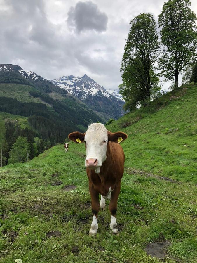 Zauneralm Aich  Eksteriør billede